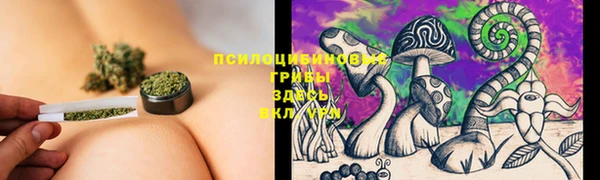 apvp Заволжье