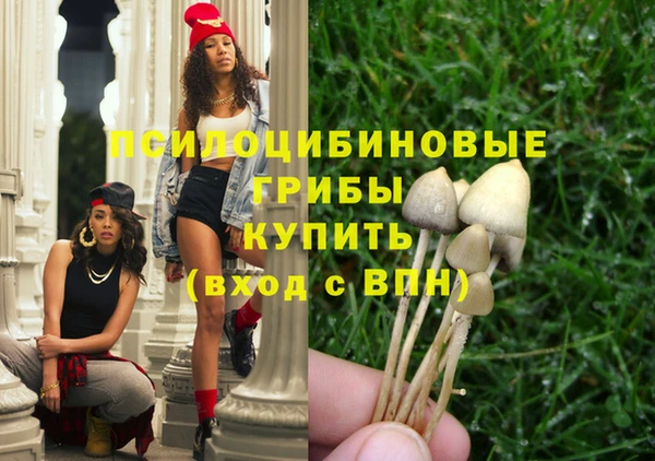 шишки Зеленокумск